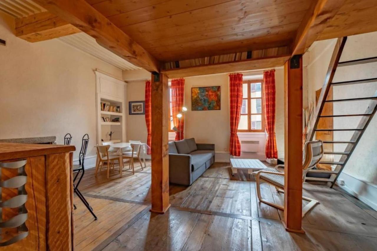 Apartment Classified 2 Stars In The Heart Of The Historic Center Of 阿讷西 外观 照片